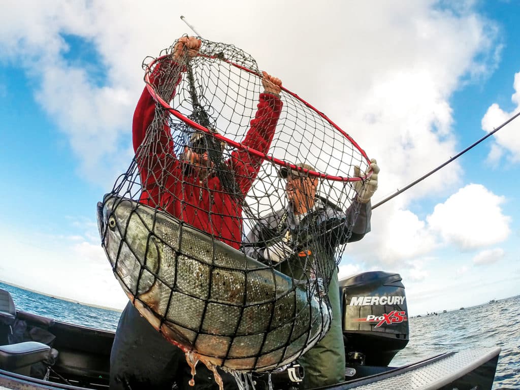 buoy 10 salmon columbia river