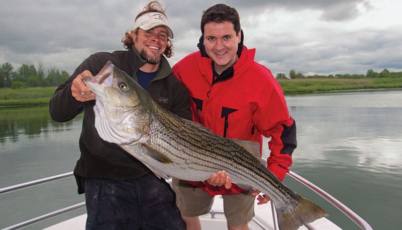 salt-marsh-stripers-duo.jpg