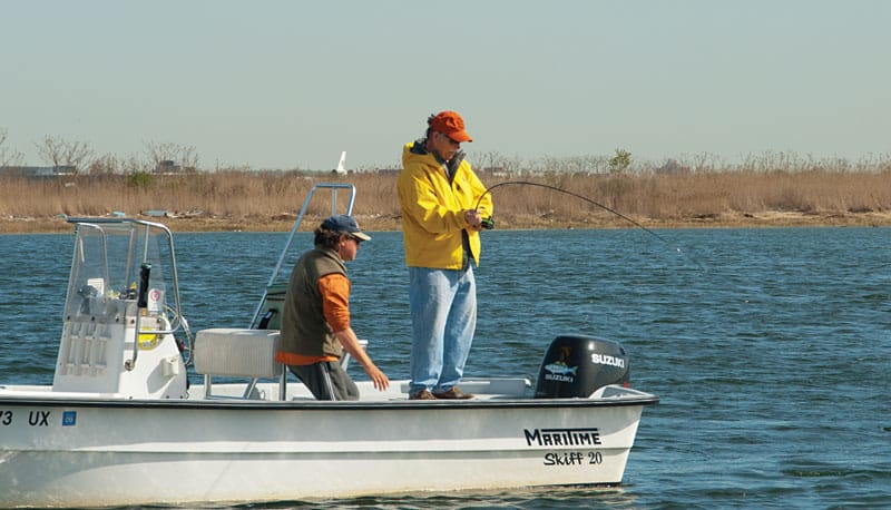 salt-marsh-stripers-fight.jpg