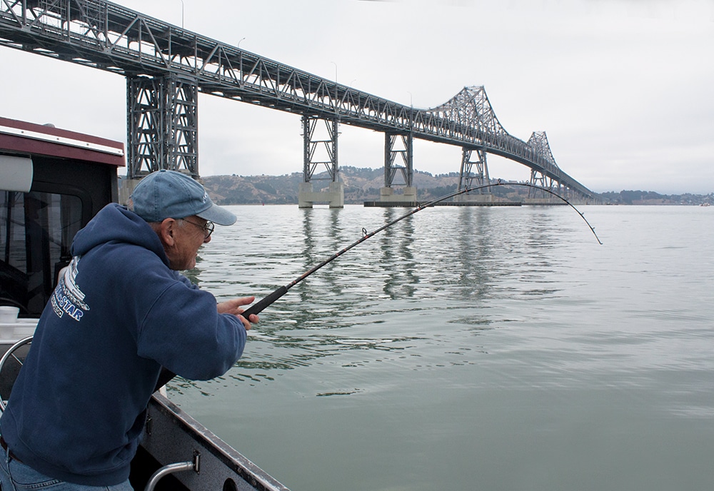 fishing for San Francisco halibut in bay