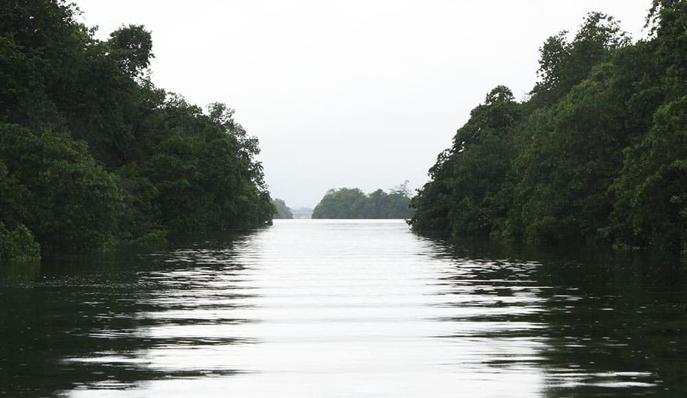 san juan tarpon_07.jpg