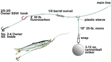 Sardines for Slabs  Salt Water Sportsman