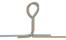 seguar knot