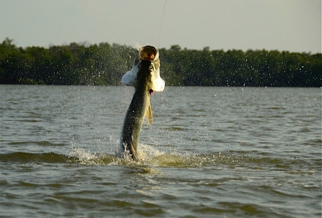 Inshore fishing