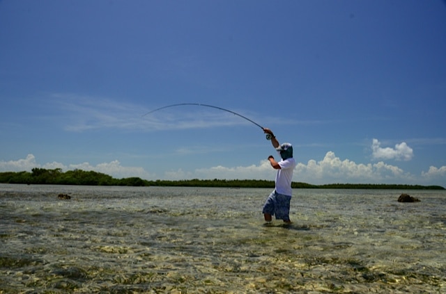 Inshore fishing