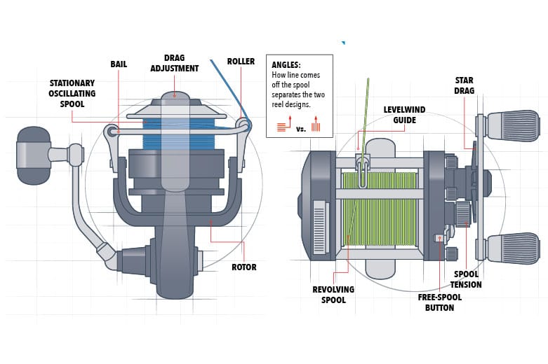 Differences of Bait Caster and Spinning Reel