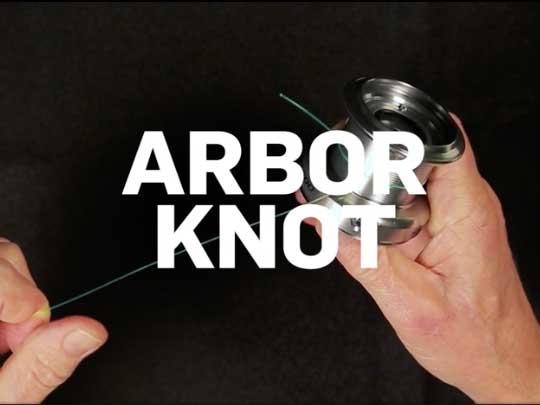 Arbor Knot - How to tie an Arbor Knot