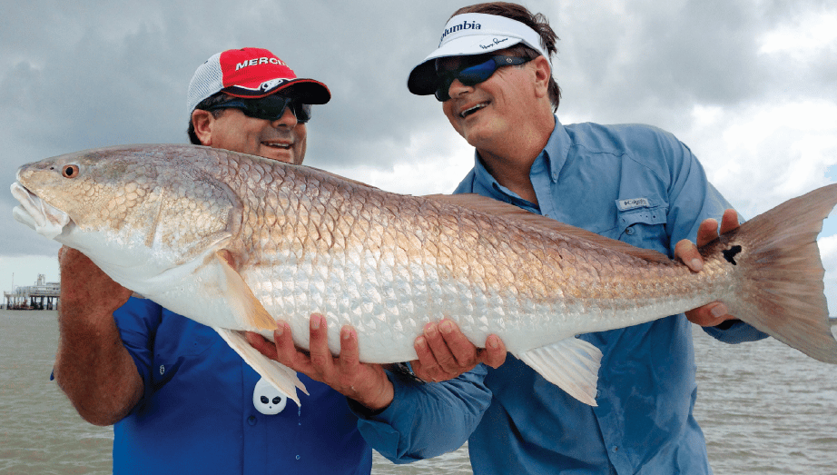 big redfish