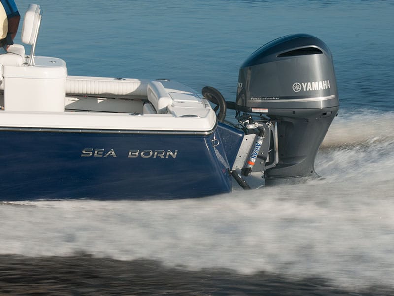 sea born fx25_04.jpg