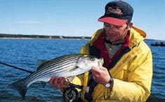 The Lightweight Bucktail: Top Tips For Back Bay Stripers - The