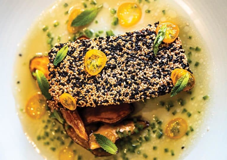 Sesame Crusted Salmon Recipe