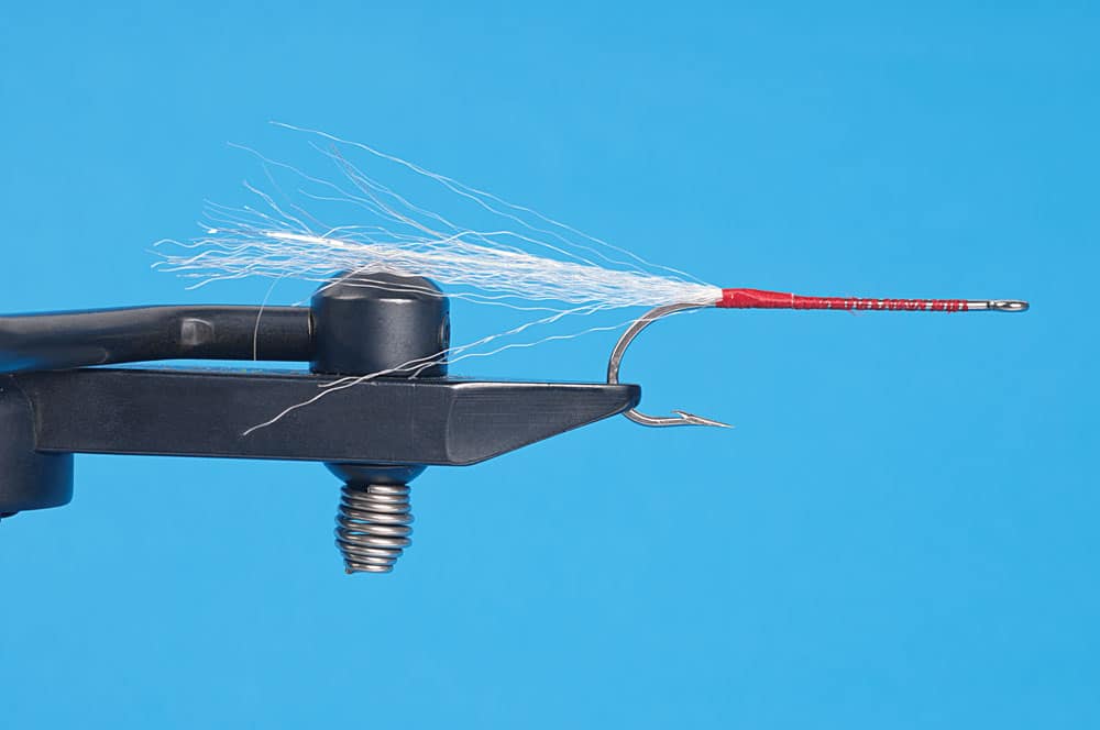 shallow-water-striper-fly-02.jpg