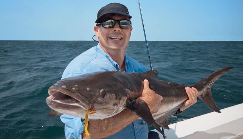 shark-chumming-cobia.jpg