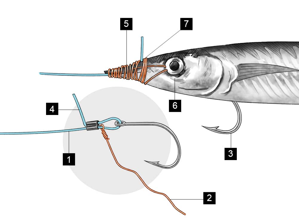 Short-Shank ballyhoo rig