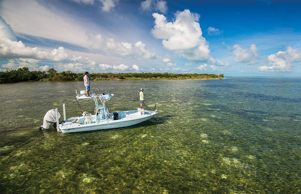 Sight-Fishing 101  Salt Water Sportsman