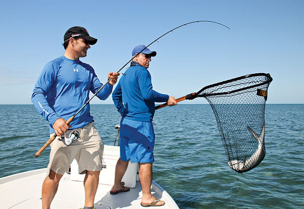using net to catch fish