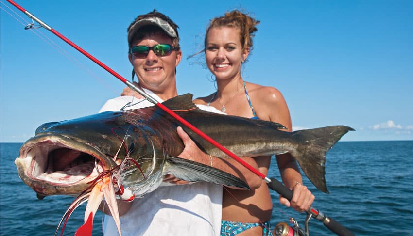 sightcasting for cobia