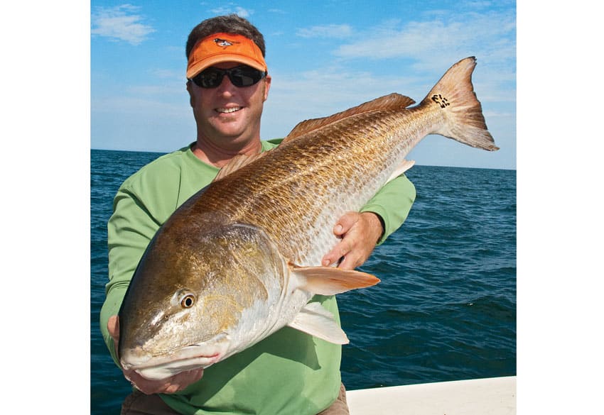 hunting redfish with sightcasting