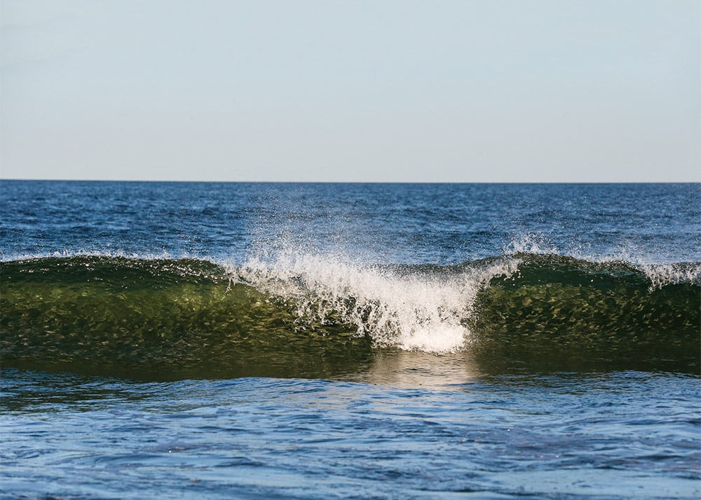 East Coast Fall Mullet Run