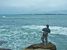 sj_fishon_220x165.jpg