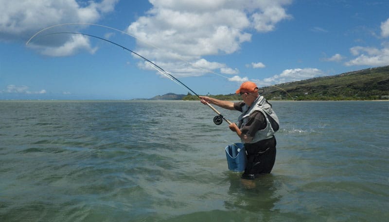 skagit casting