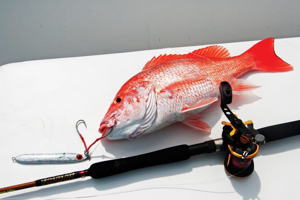 Red Snapper Fishing in Texas