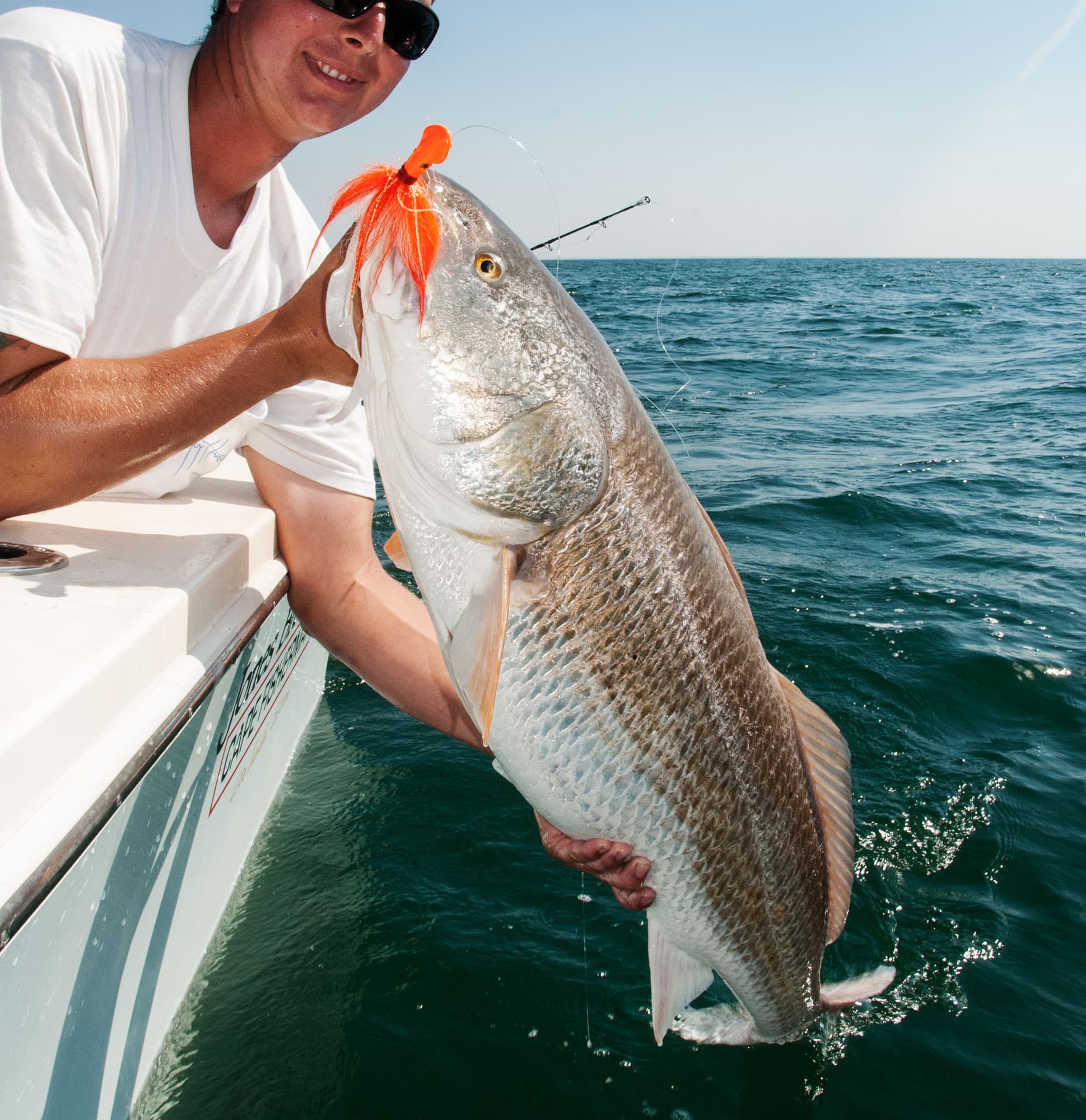 Wie man Rotbarsche in der Chesapeake Bay anvisiertWie man Rotbarsche in der Chesapeake Bay anvisiert  