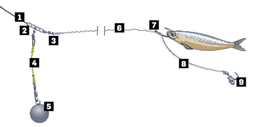 Northern California Halibut Fishing Tips