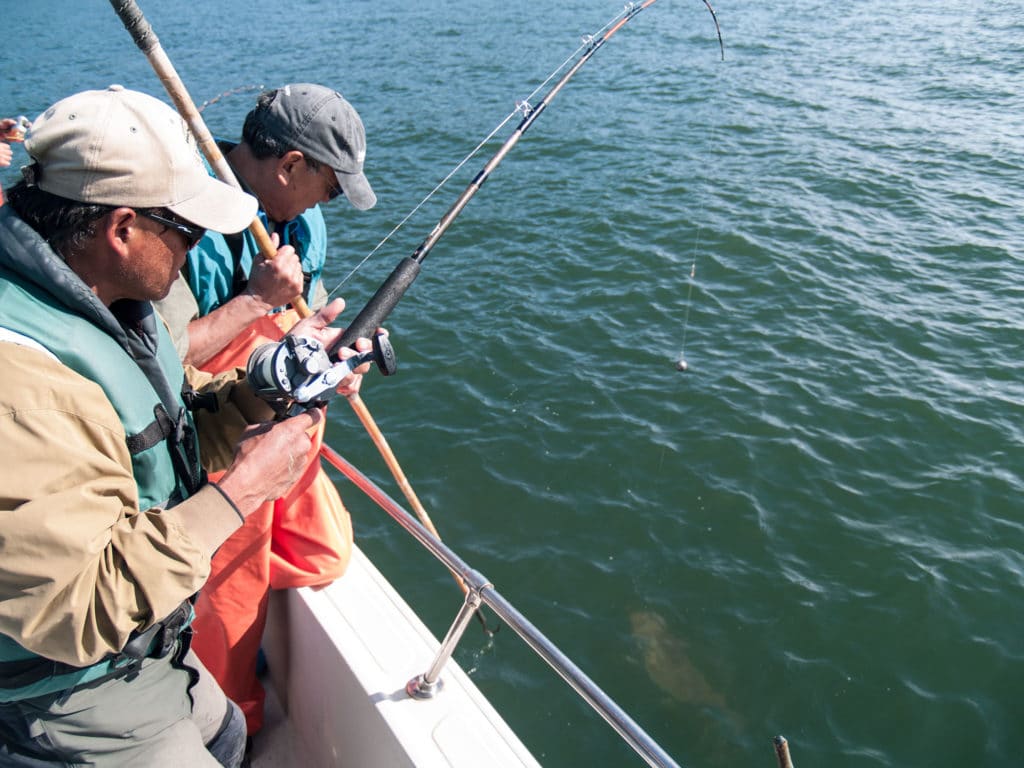 Northern California Halibut Fishing Tips