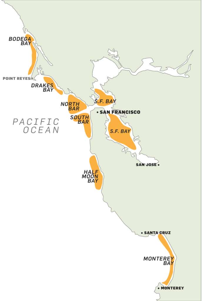 Northern California Halibut Fishing Tips