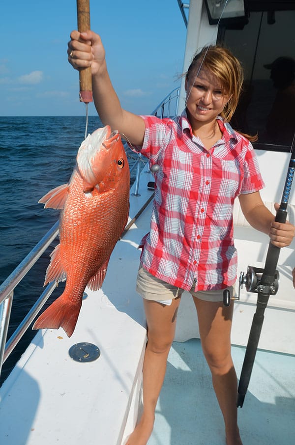 red snapper in the Gulf of Mexico