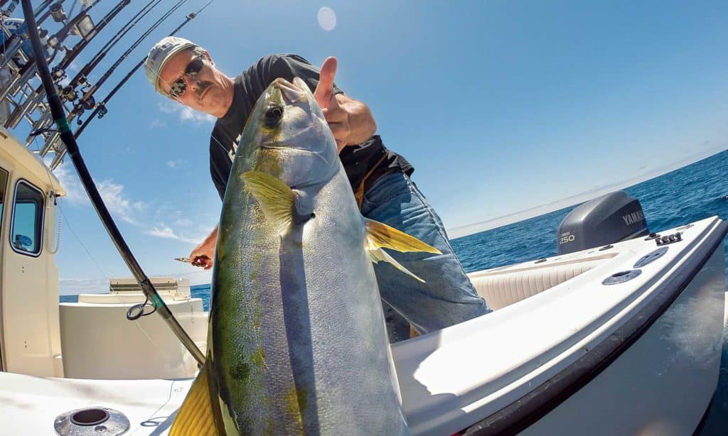 How to Catch California Yellowtail Under Kelp Paddies