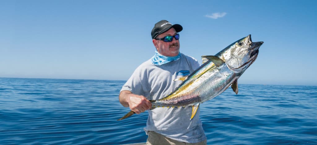 California Yellowfin Tuna