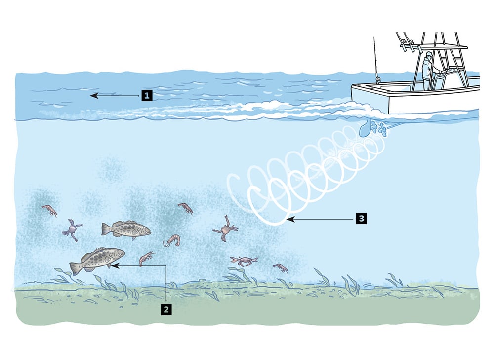 Transitioning inlets and channels provide opportunities for catching feeding fish