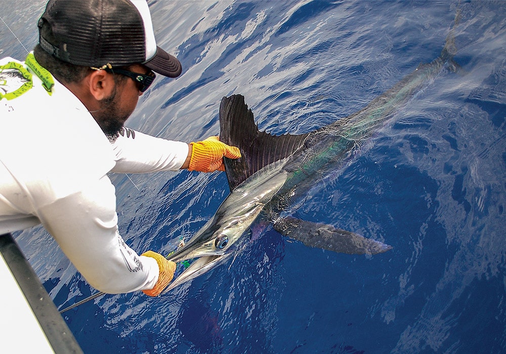 Catching a marlin offshore