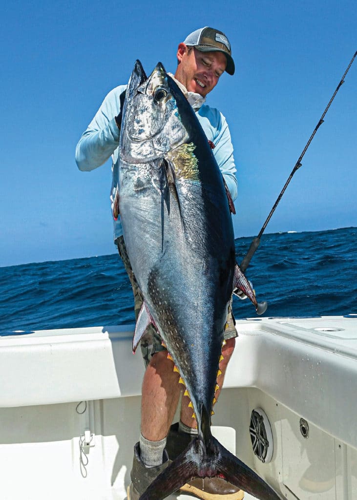 Southern California bluefin