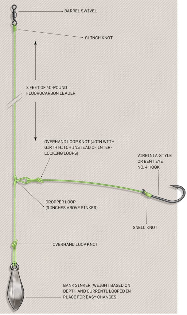 How to tie the Belmar Rig