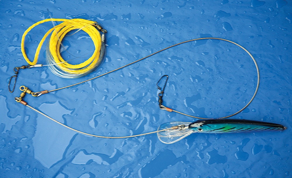 swimming plug in dredge