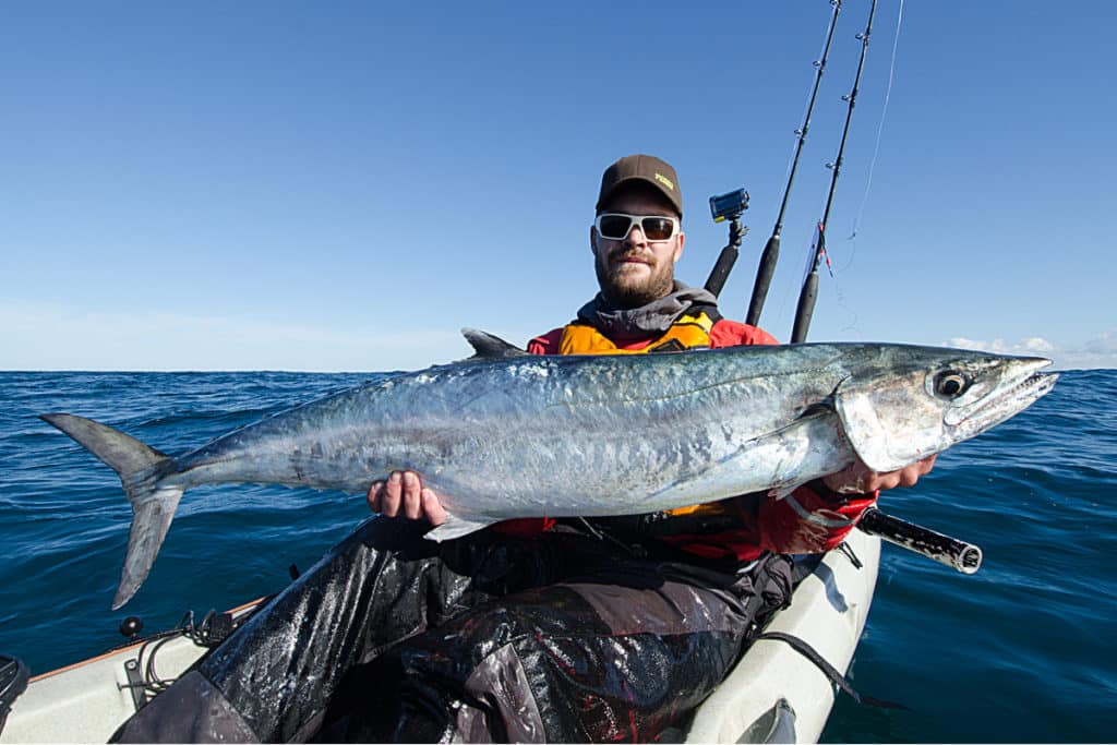 Trophy King Mackerel