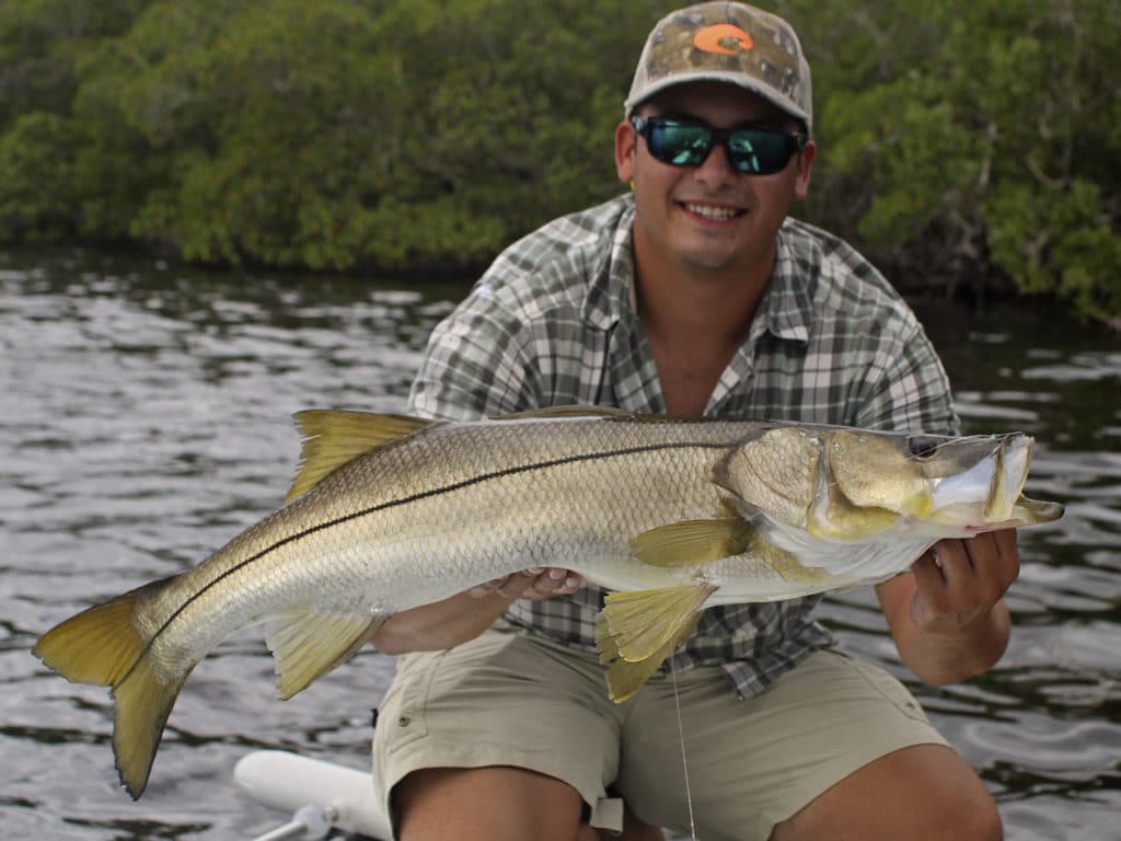 Snook is often called linesider.