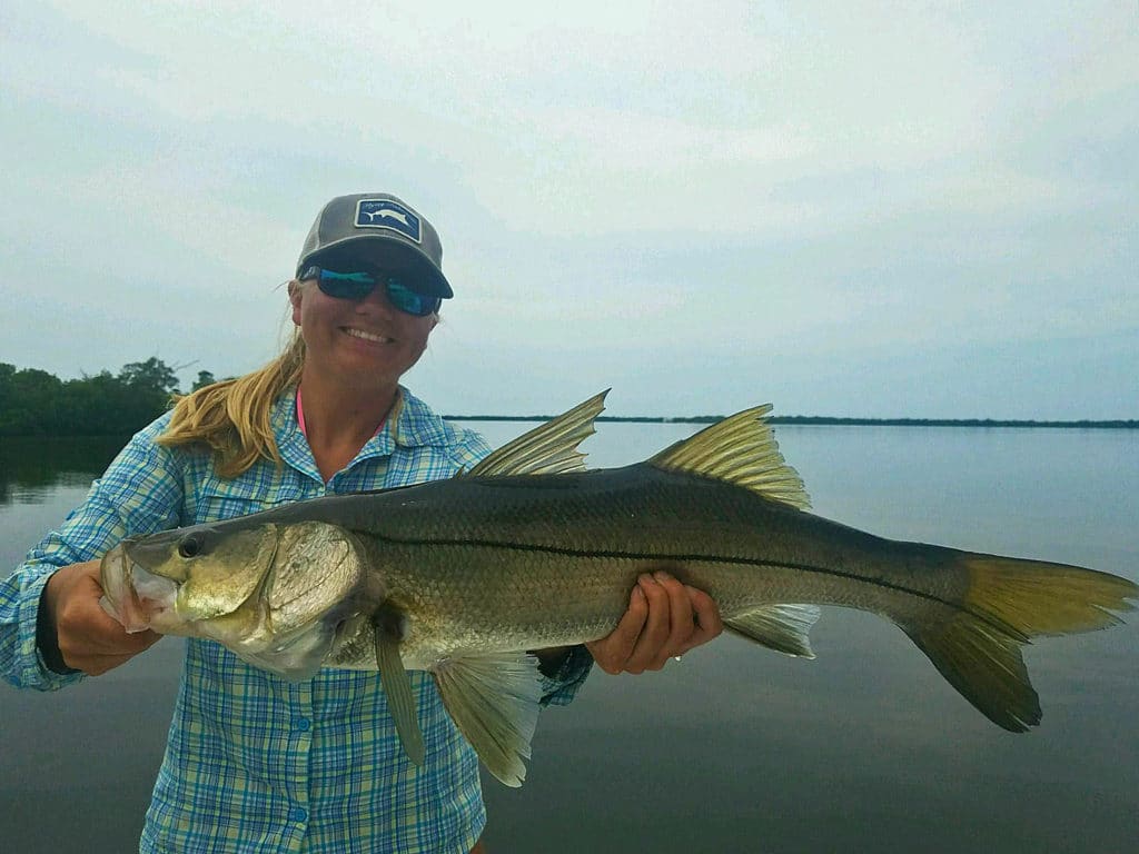 snook fishing