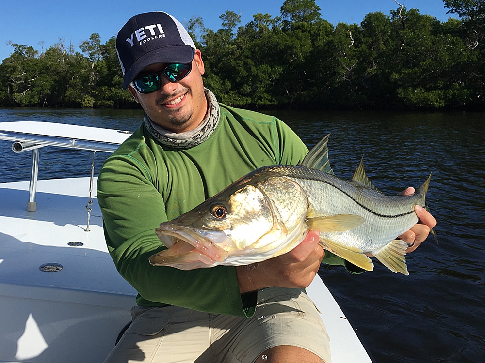 snook caught on fly