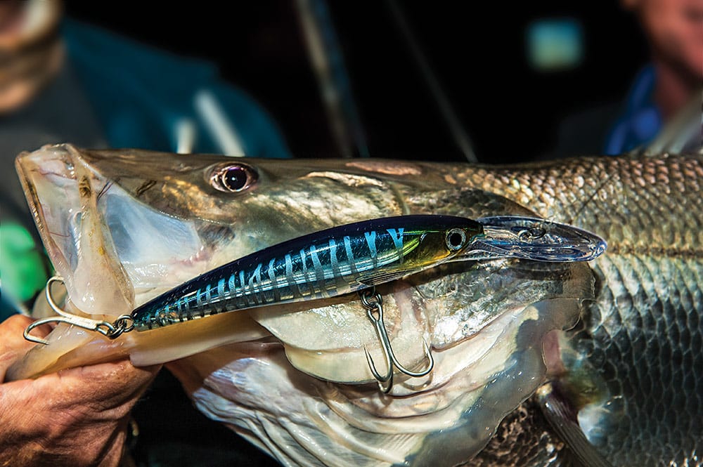 Snook Fishing in South Florida