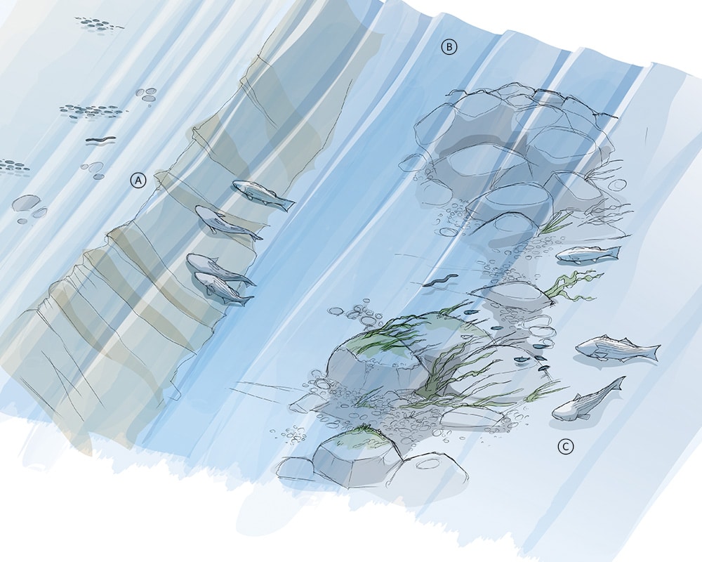 How to Fish Structure