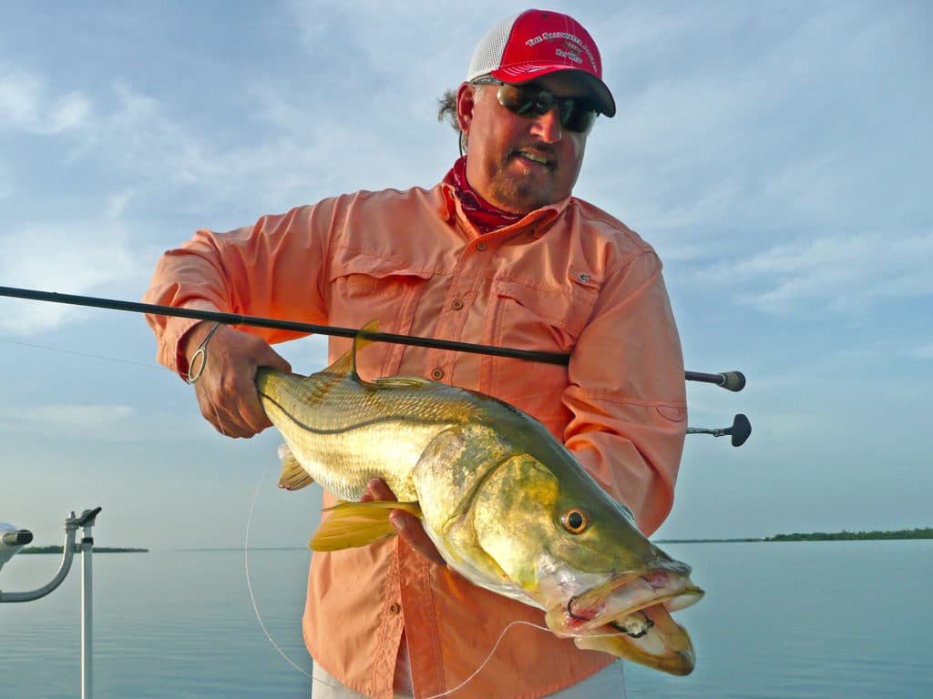 Snook caught on soft plastic