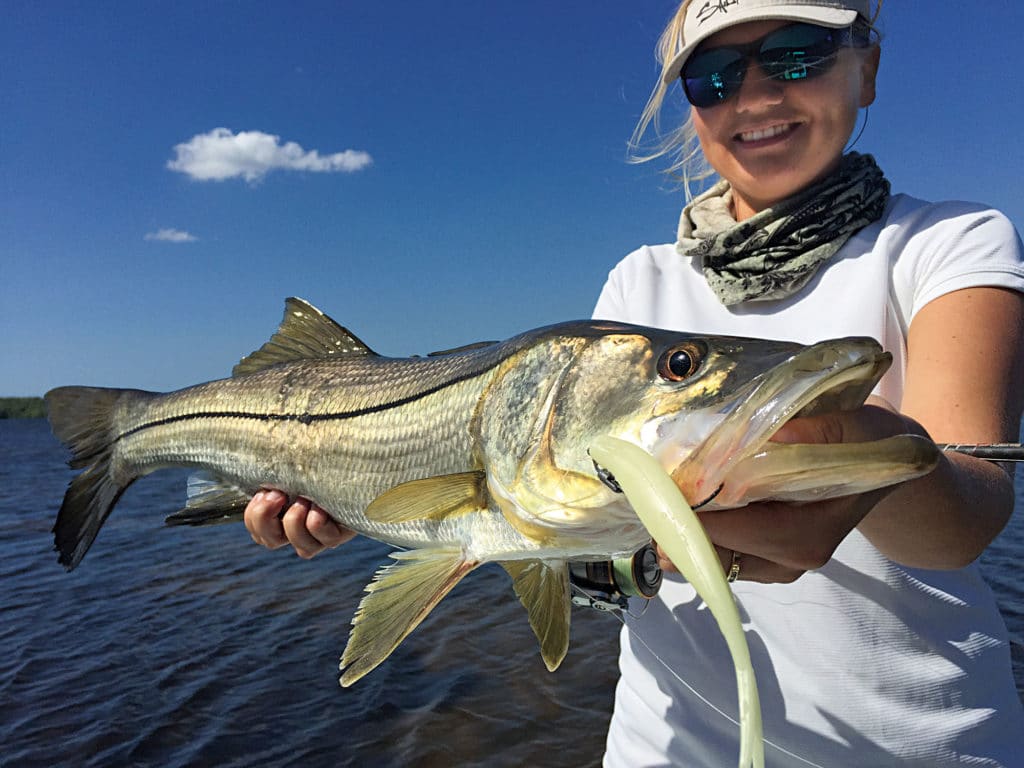 Snook are populating new territories on Florida's Gulf Coast.