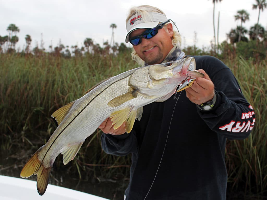 Snook make excellent targets for a variety of artificial and natural baits.