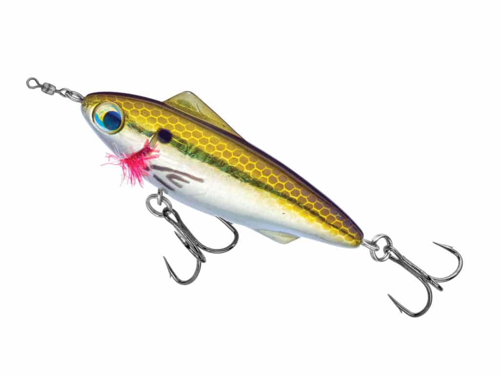 Favorite offerings of local guides include hard-plastic twitchbaits, like the Unfair Lures Rip-n-Slash.