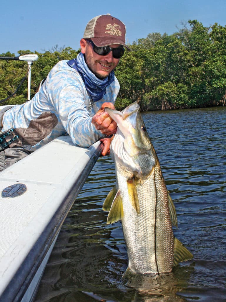 Gulf Coast snook