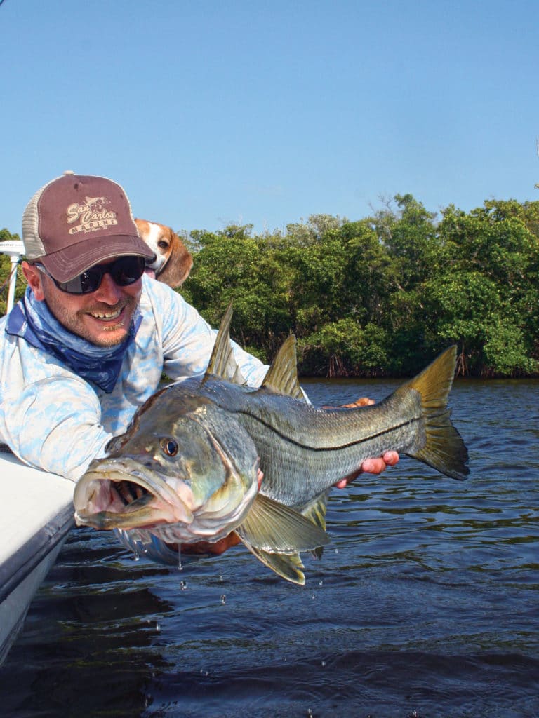 Big Gulf Coast snook